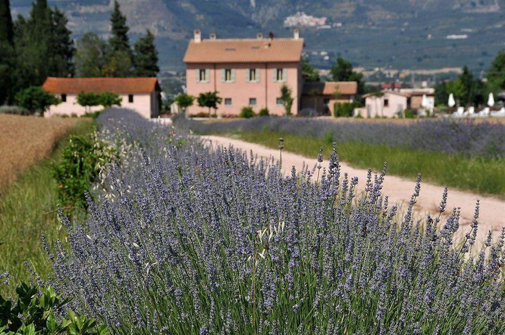 Country House Casco Dell'Acqua Trevi Exteriér fotografie